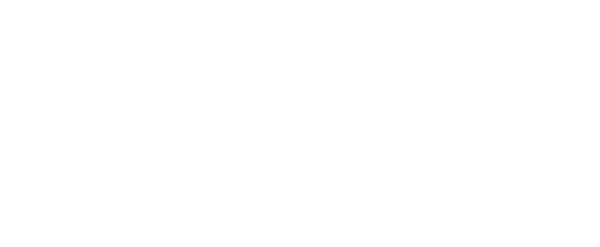 Logo du Parti Pirate Logo du Parti Pirate Blanc