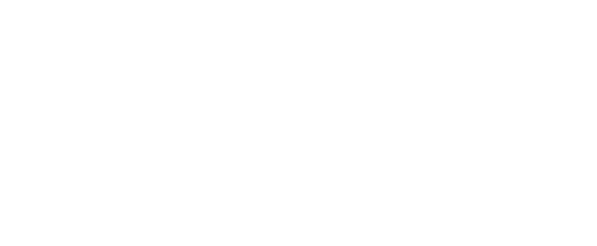Logo du Parti Pirate Blanc